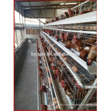 Price Cages For Laying Hens Hot Sale In Venezuela